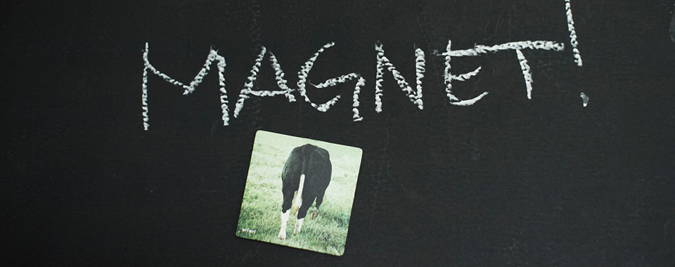 magnetbilder